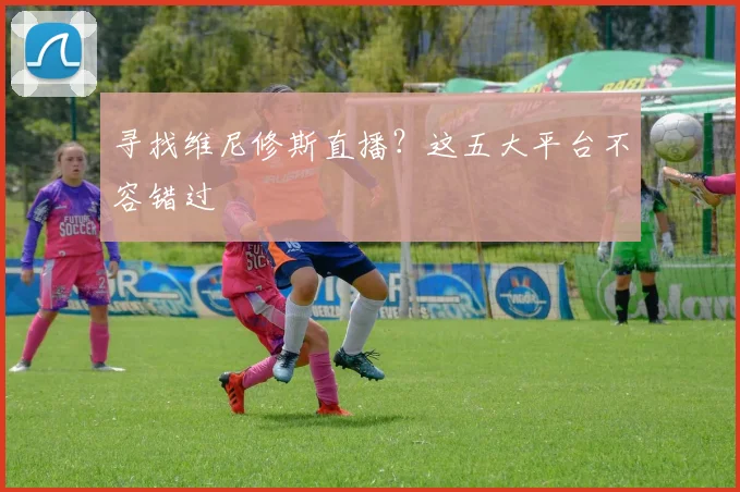 寻找维尼修斯直播?这五大平台不容错过